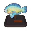Blue Trim Parrotfish Model icon