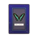 Bluebottle Wall Art icon