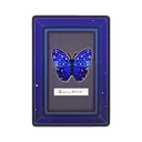 Constable Butterfly Wall Art icon