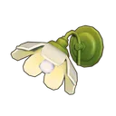 Daisy Wall Light icon