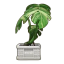 Greenhouse Monstera icon