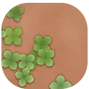 Overgrown Dirt Path icon