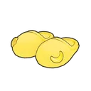 Polystar Slippers icon